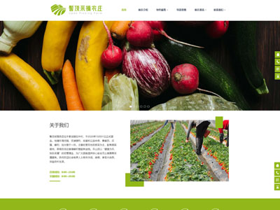 農莊網站建設-農業(yè)綠色采摘網站制作-模板案例